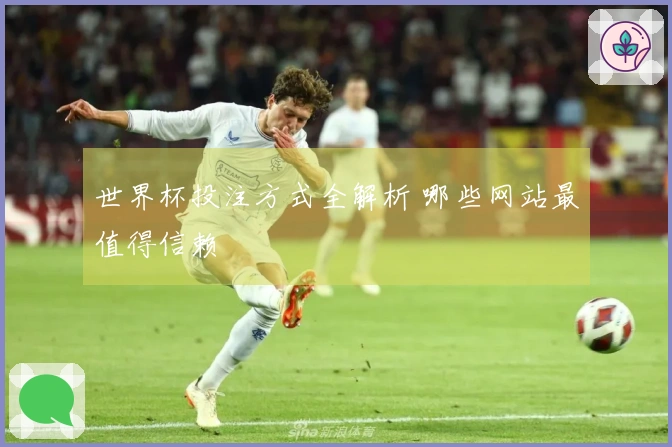 世界杯投注方式全解析 哪些网站最值得信赖