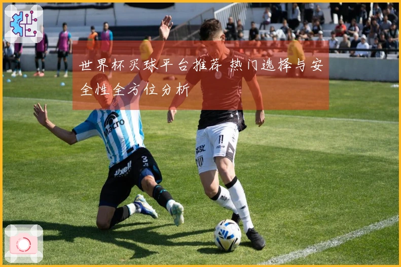 世界杯买球平台推荐 热门选择与安全性全方位分析