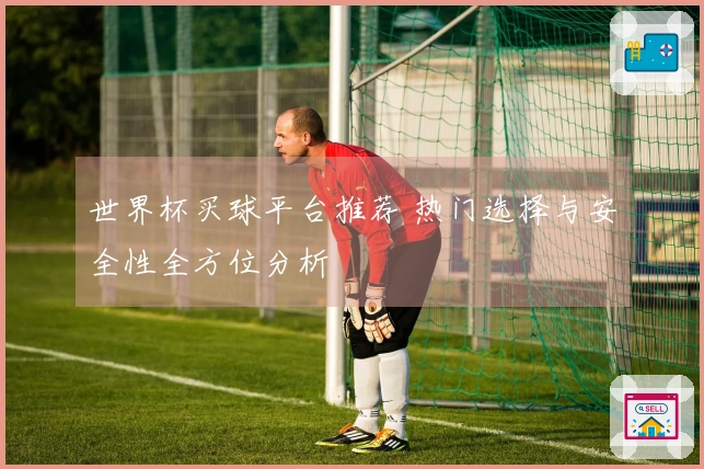 世界杯买球平台推荐 热门选择与安全性全方位分析