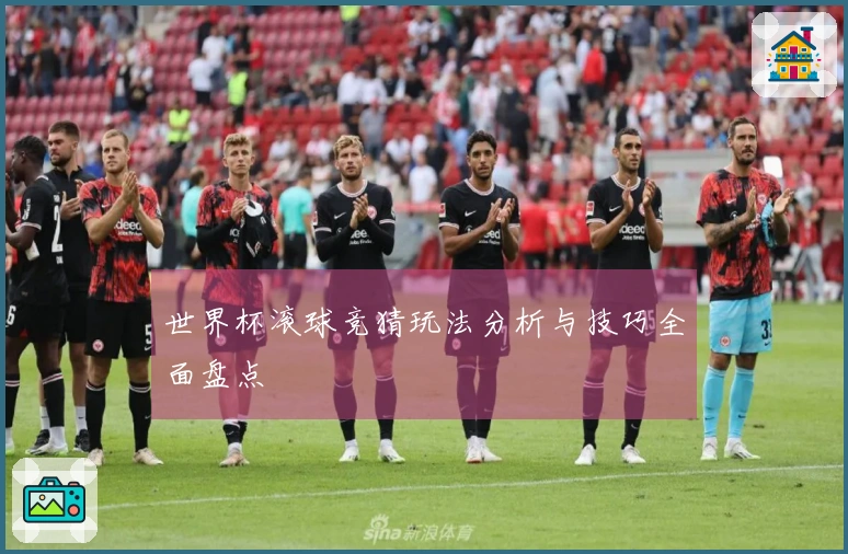 世界杯滚球竞猜玩法分析与技巧全面盘点