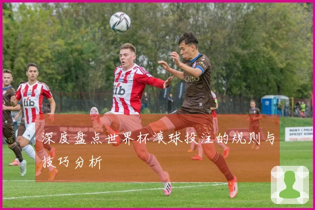 深度盘点世界杯滚球投注的规则与技巧分析