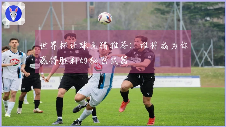 世界杯让球竞猜推荐：谁将成为你赢得胜利的秘密武器