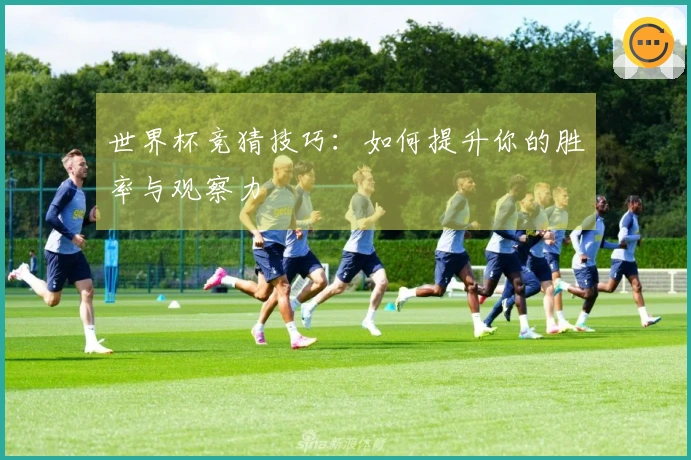 世界杯竞猜技巧：如何提升你的胜率与观察力