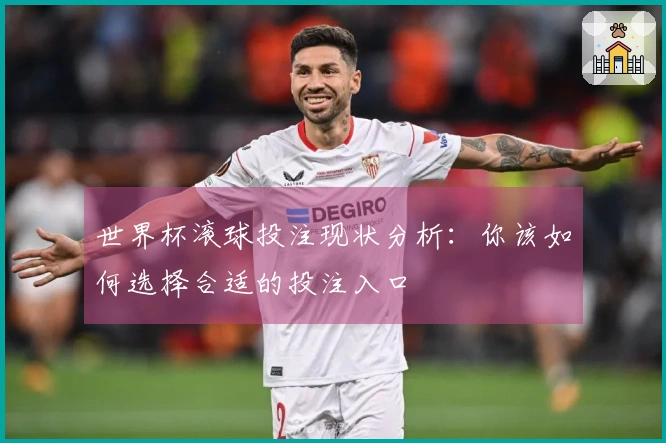 世界杯滚球投注现状分析：你该如何选择合适的投注入口