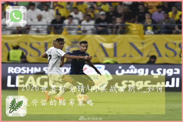 2026世界杯竞猜App实战分析，如何提升你的赔率策略