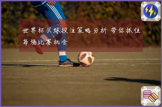 世界杯买球投注策略分析 带你抓住每场比赛机会